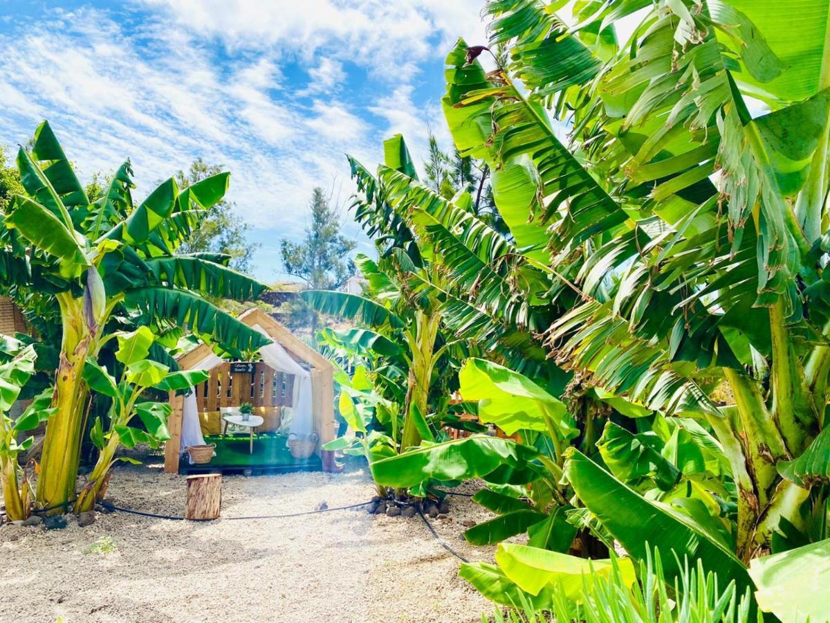 Arrebol Suite Con Jacuzzi, Piscina Y Naturaleza Buzanada المظهر الخارجي الصورة